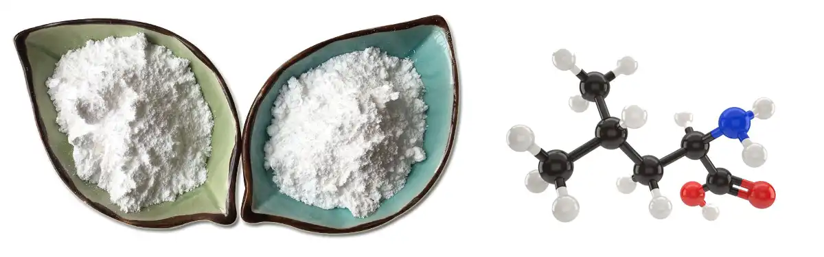 L Leucine Offer.jpg
